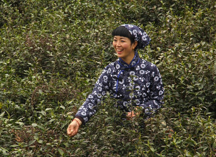 更新11